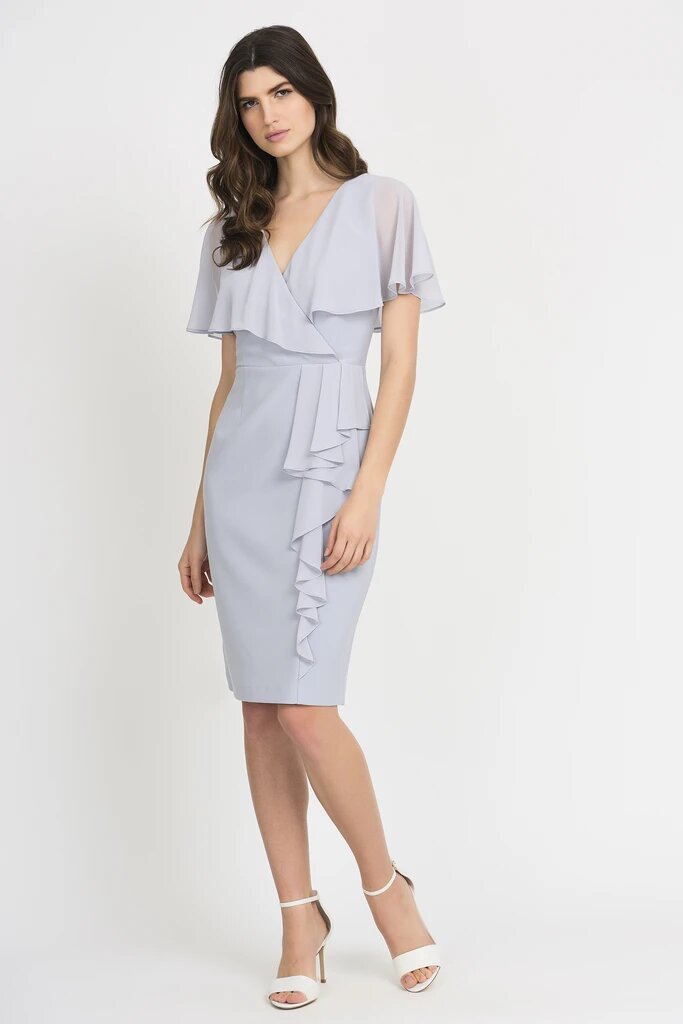 Joseph Ribkoff Silver Dress